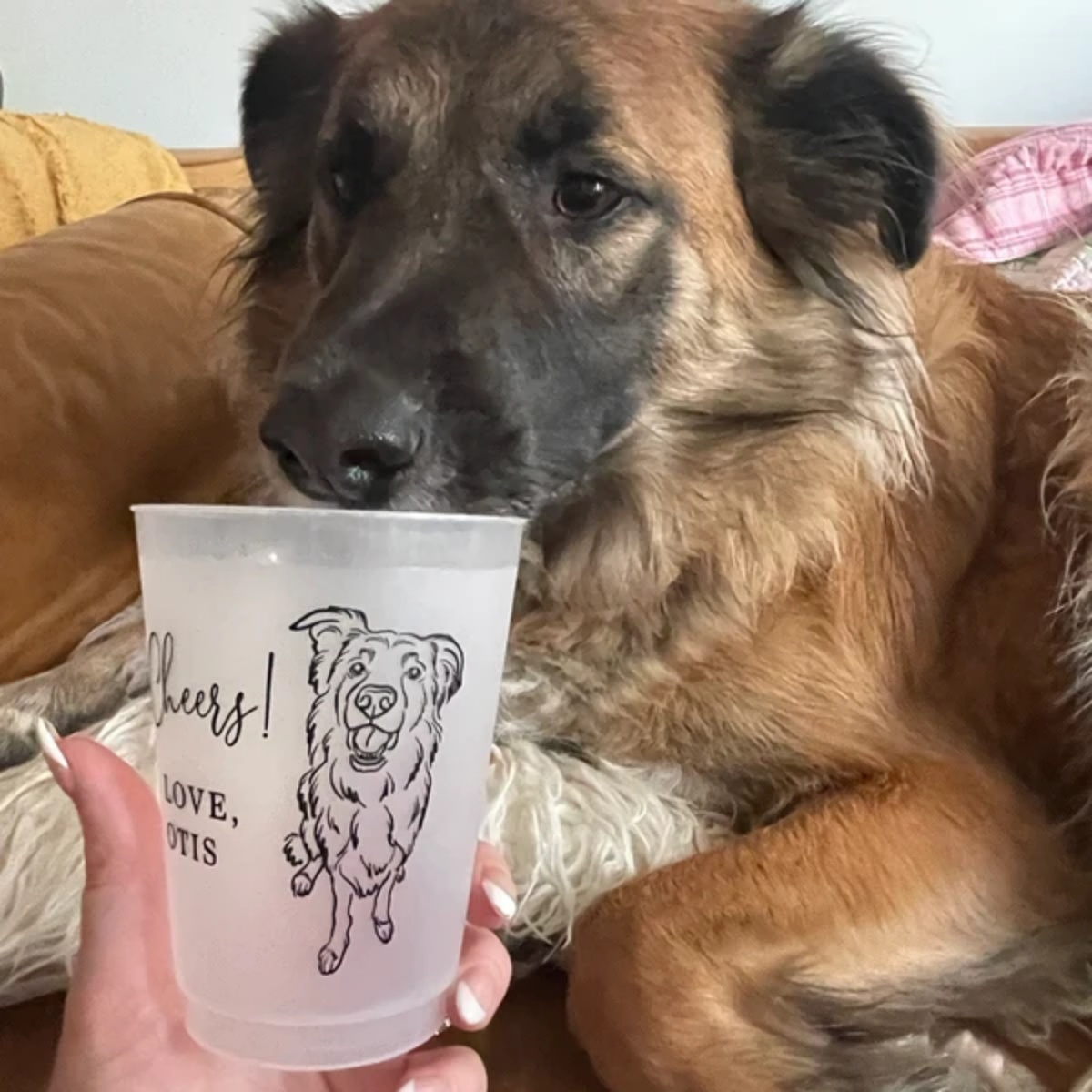 10/50 Personalized Frosted Pla - đánh giá và giá Plastic Cup 50Pcs